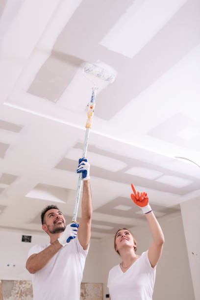 Best Ceiling Drywall Installation  in Hudson, WI